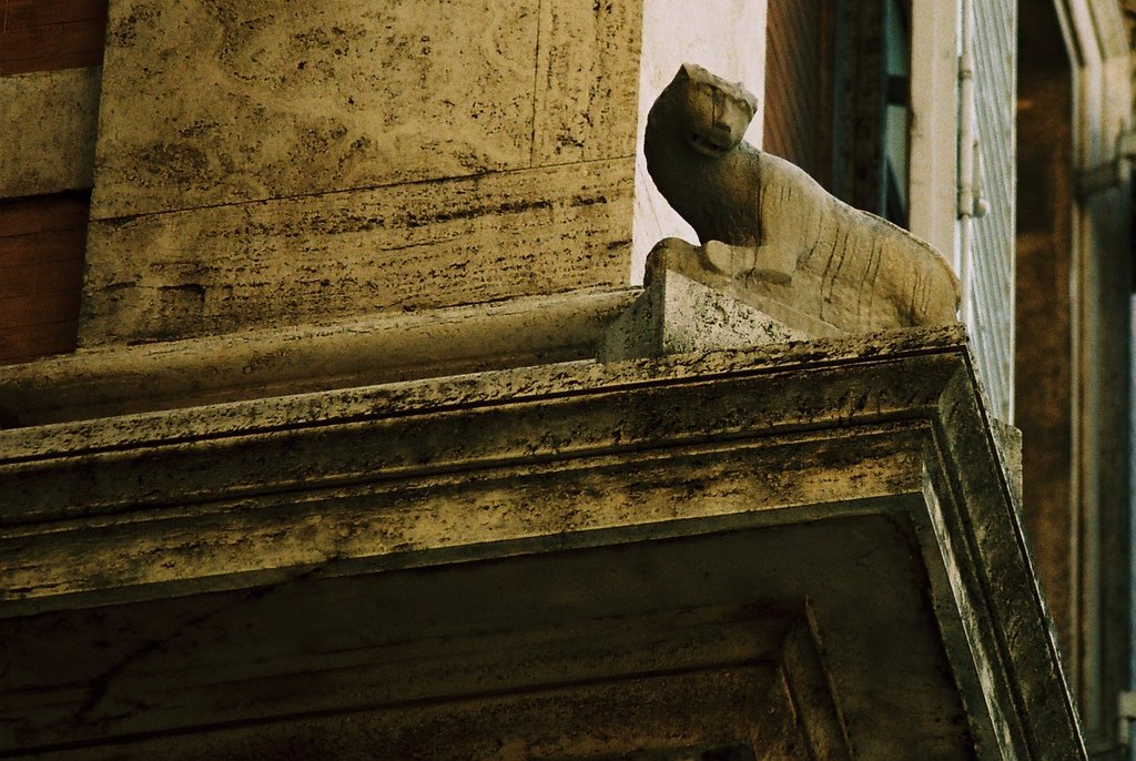 TRIPPLUS_PASSEGGIATA SERALE SU ROMA, UNO ZOO DI PIETRA (foto)