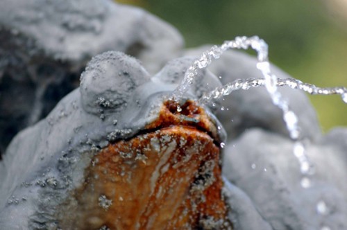 TRIPPLUS_COPPEDÈ INEDITO. UNO ZOO DI PIETRA