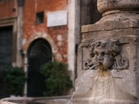 TRIPPLUS_LE FONTANE MOBILI DI ROMA_foto